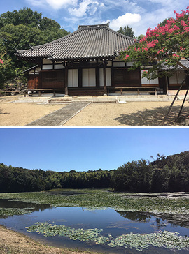 国登録有形文化財 蓮教寺（写真上） 猪高緑地（写真下）